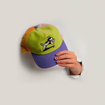 Dog Cap