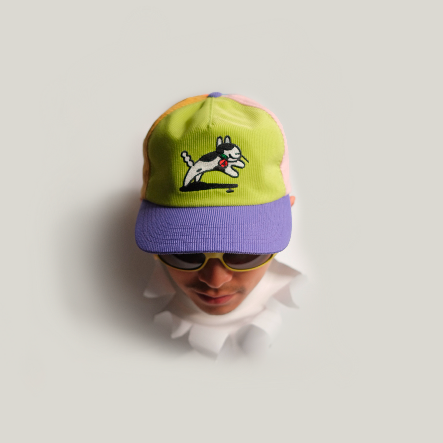 Dog Cap