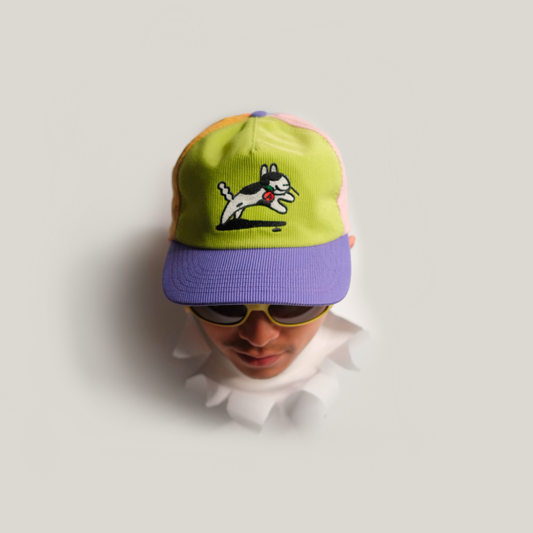 Dog Cap